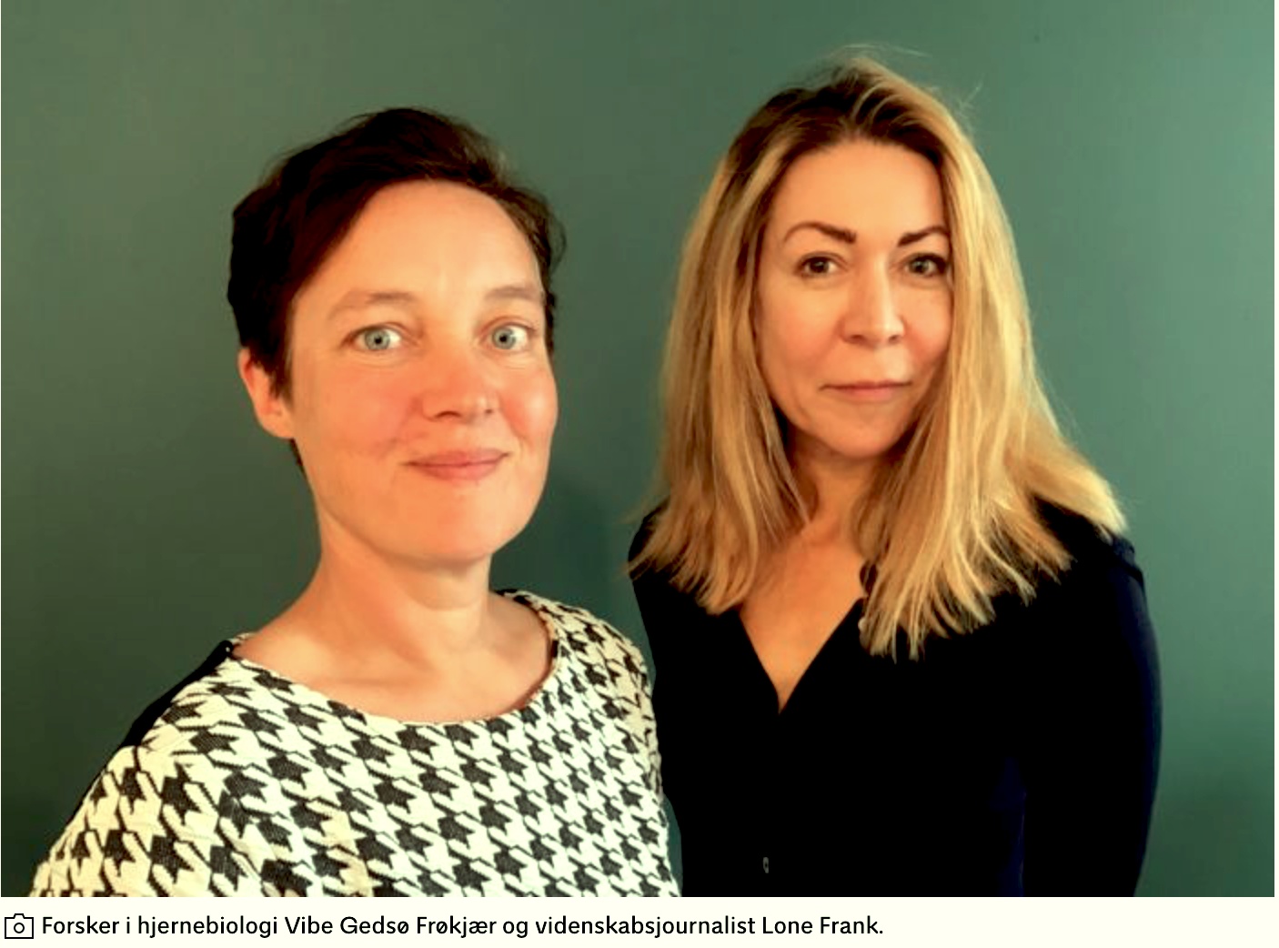Podcast interview from Weekendavisen about estrogen and the brain – in Danish